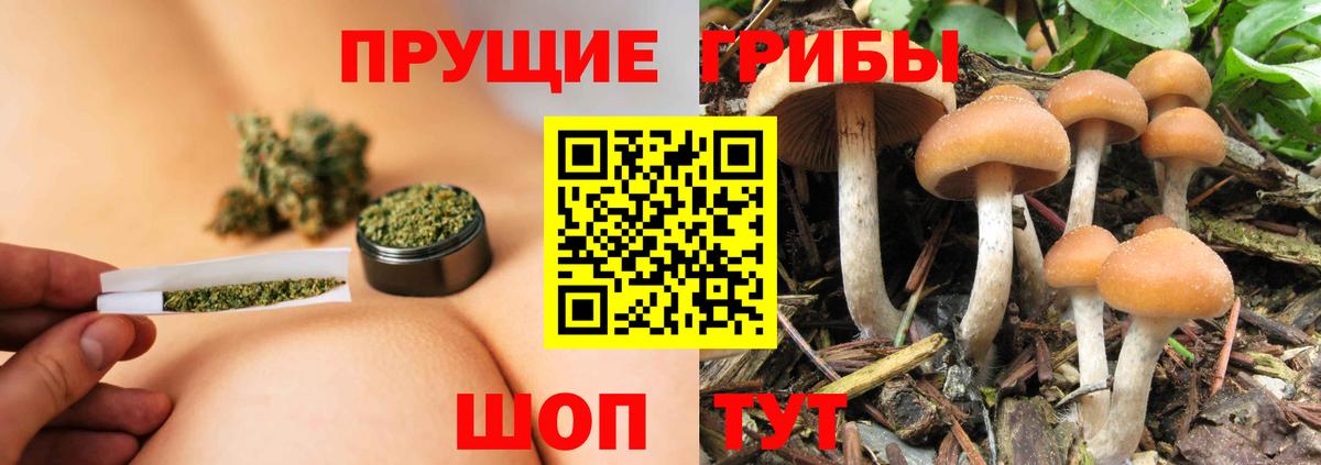 Кириши  Псилоцибиновые грибы мухоморы  Вход с VPN 
